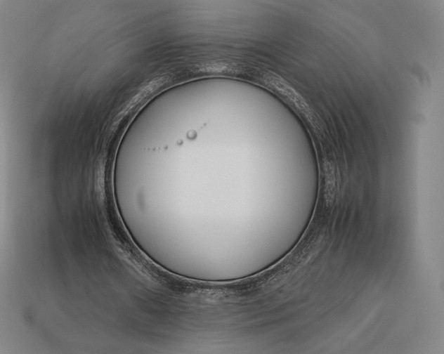 X0000113150482200909181753