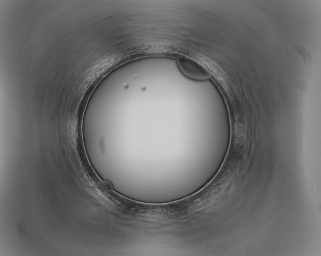 X0000113150485200909181753