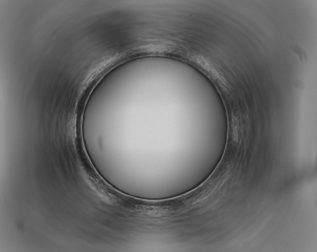 X0000113150486200909181753