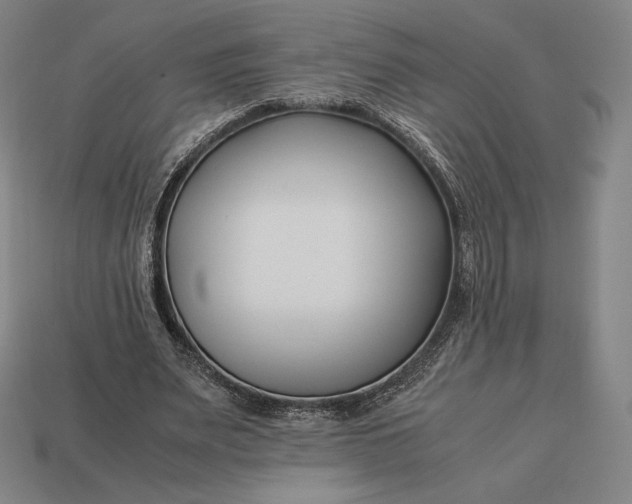 X0000113150487200909181753