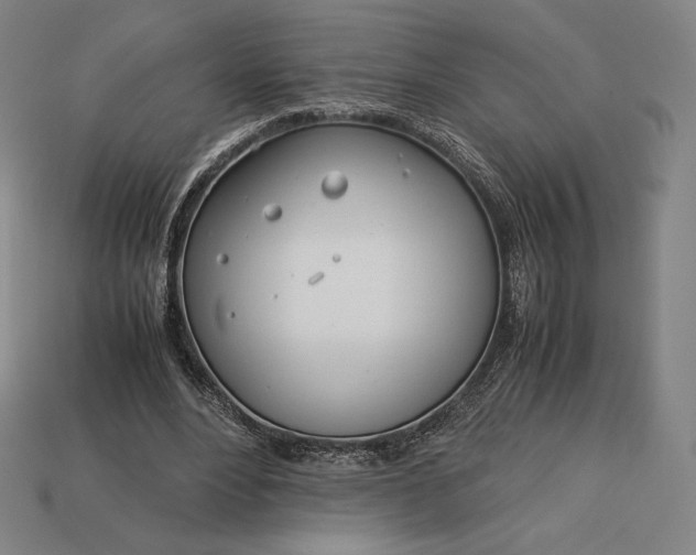 X0000113150488200909181753