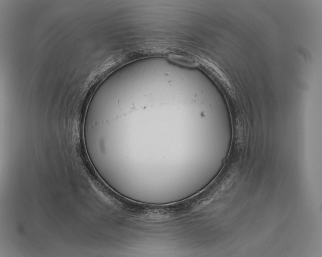 X0000113150489200909181753