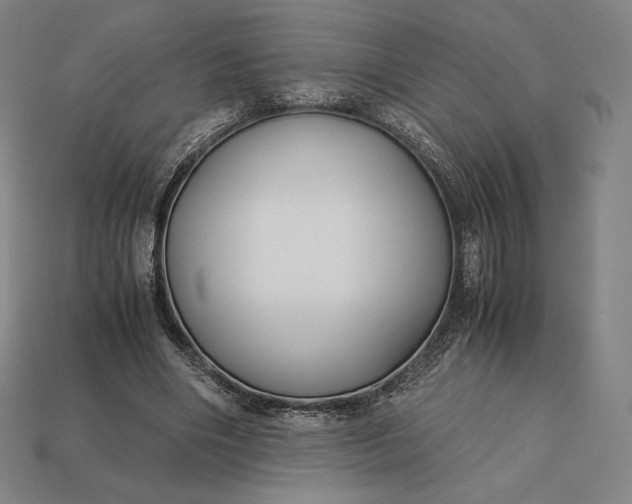 X0000113150490200909181753