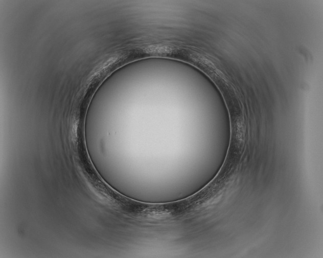 X0000113150491200909181753