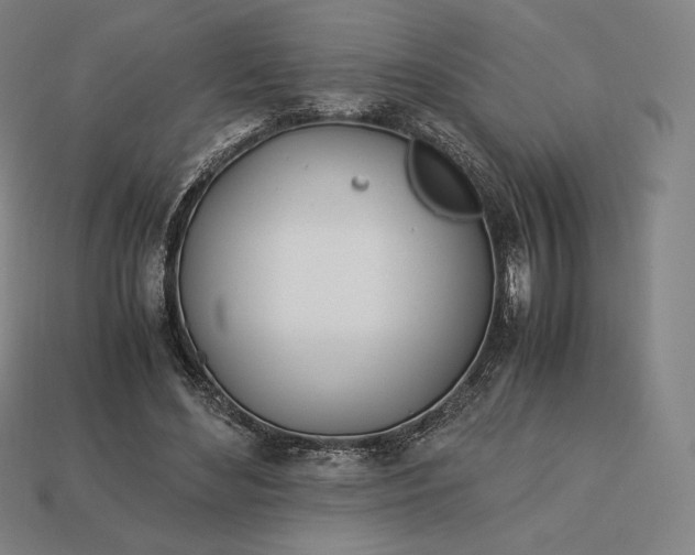 X0000113150492200909181753