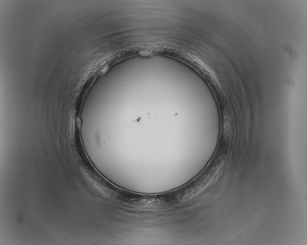 X0000113150493200909181753