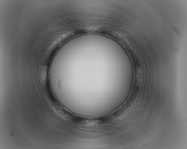 X0000113150495200909181753