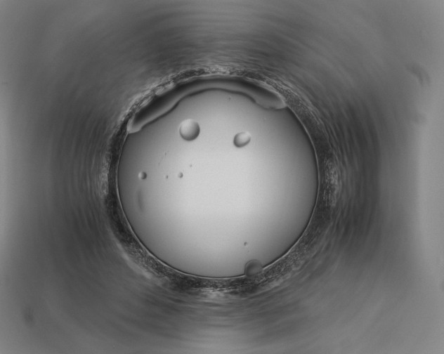 X0000113150496200909181753