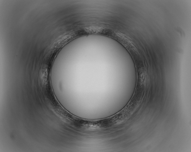 X0000113150498200909181753