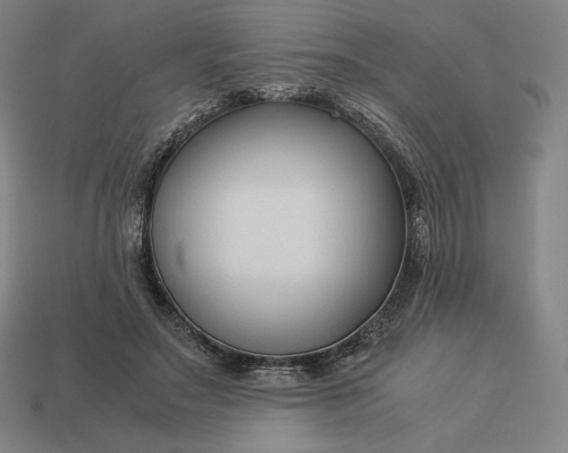 X0000113150499200909181753