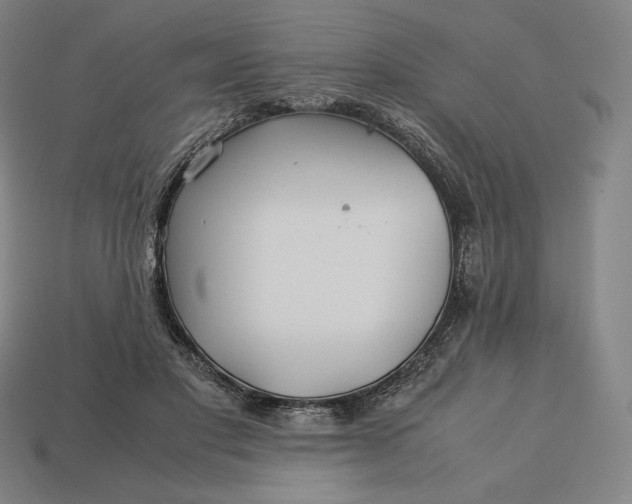 X0000113150501200909181753