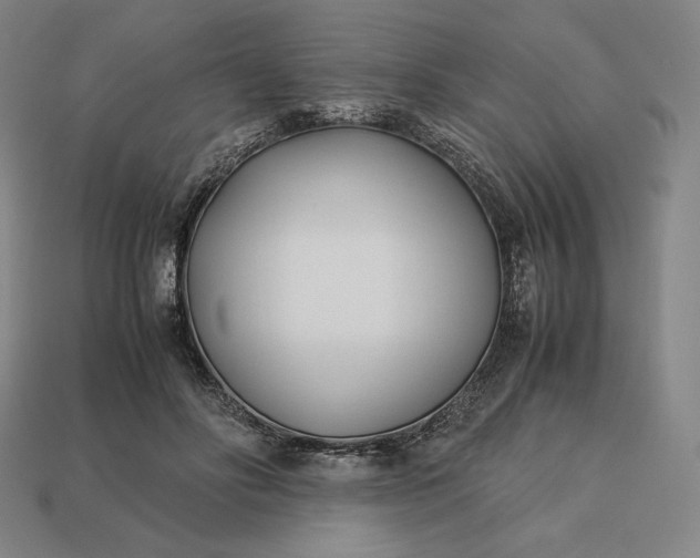 X0000113150502200909181753