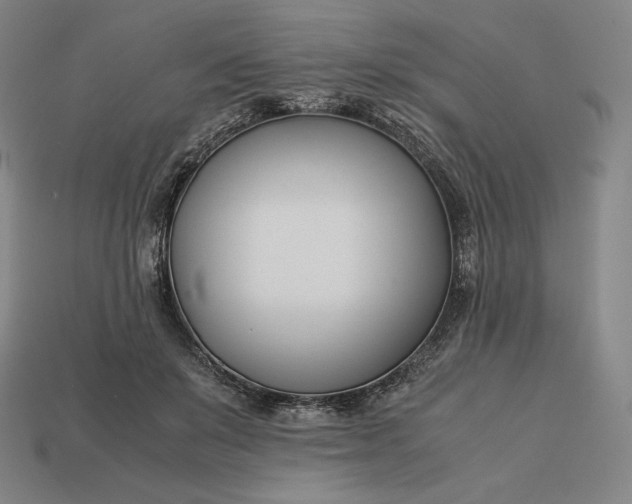 X0000113150503200909181753