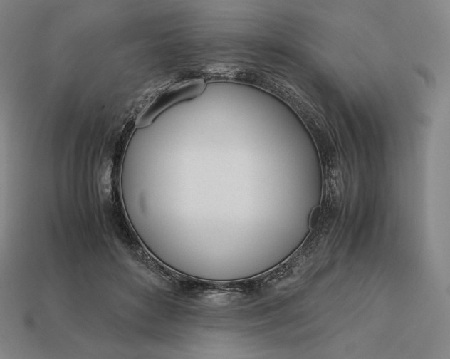 X0000113150504200909181753