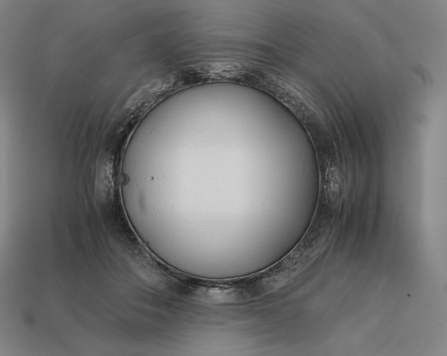 X0000113150506200909181753