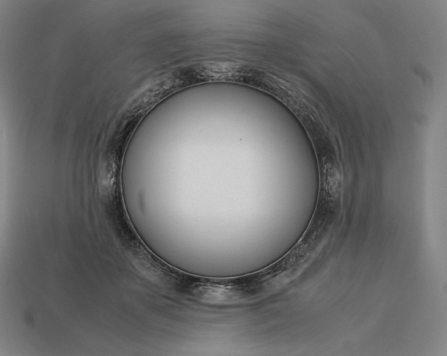 X0000113150507200909181753