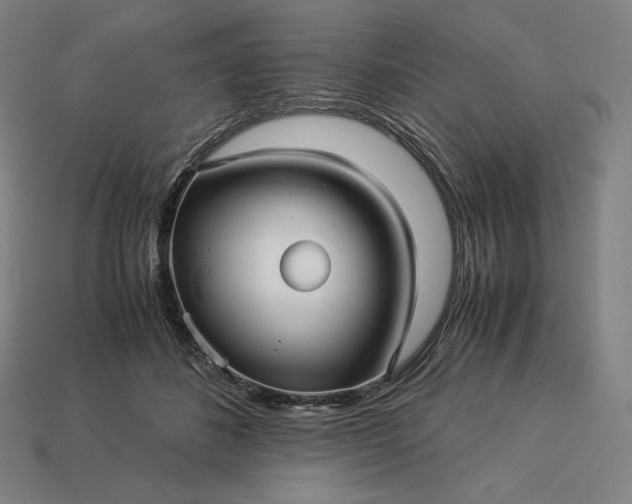 X0000113150508200909181753