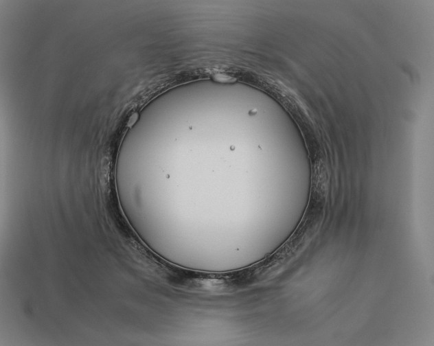 X0000113150509200909181753