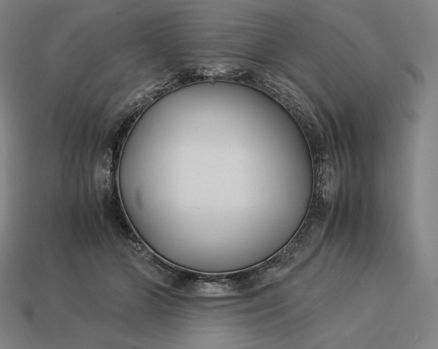 X0000113150510200909181753