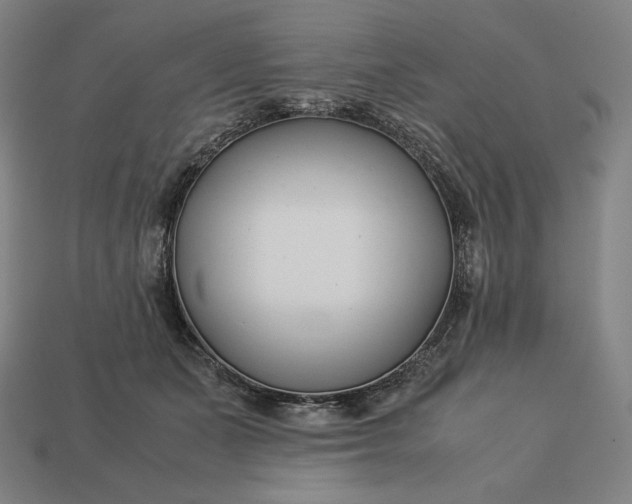 X0000113150511200909181753