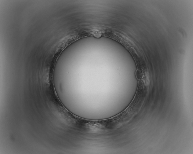 X0000113150512200909181753