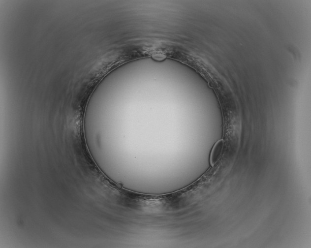 X0000113150513200909181753