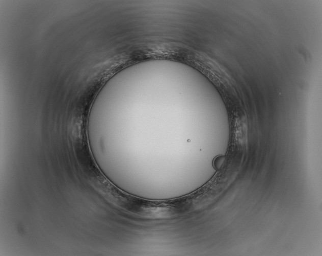 X0000113150514200909181753