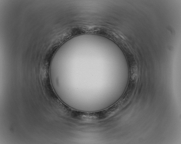 X0000113150515200909181753