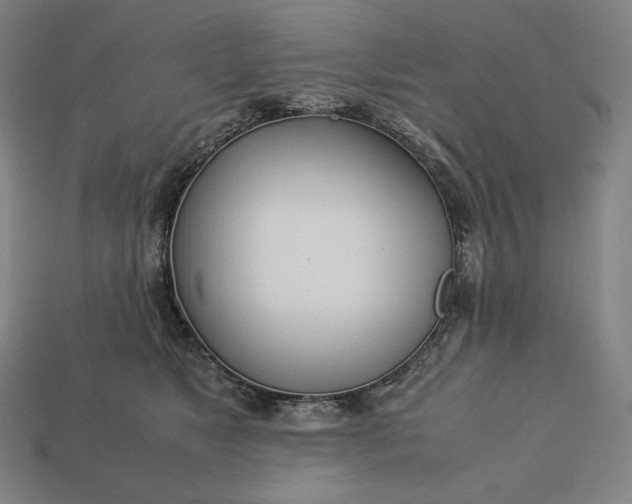 X0000113150517200909181753