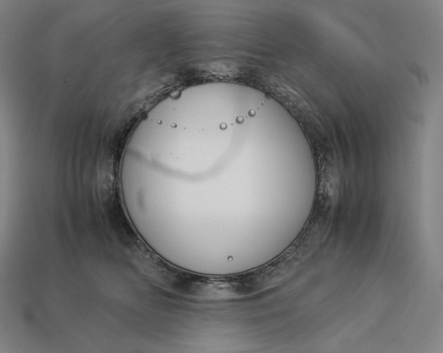 X0000113150518200909181753