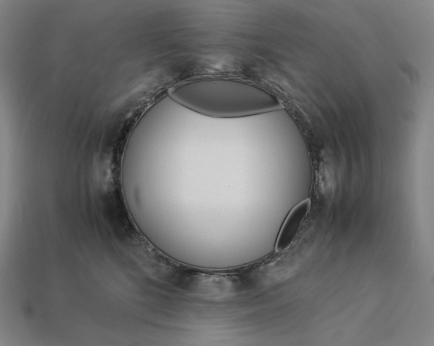 X0000113150520200909181753