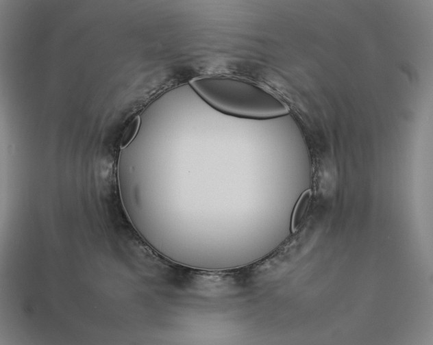 X0000113150521200909181753