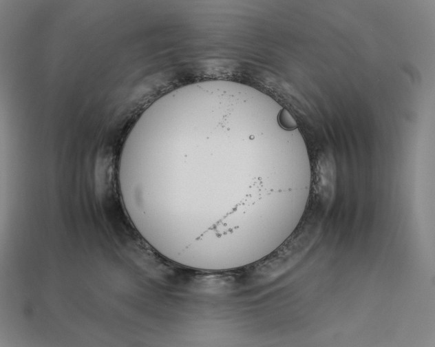 X0000113150522200909181753