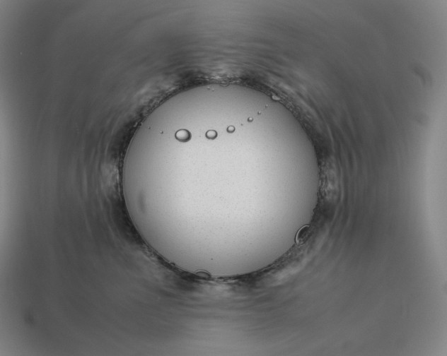 X0000113150523200909181753