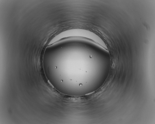 X0000113150524200909181753