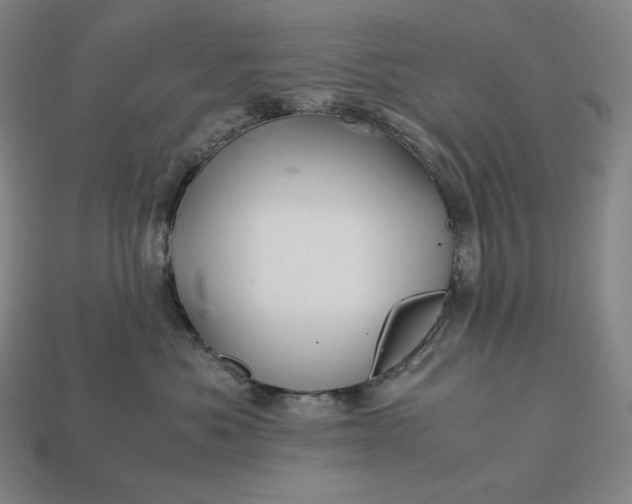 X0000113150525200909181753