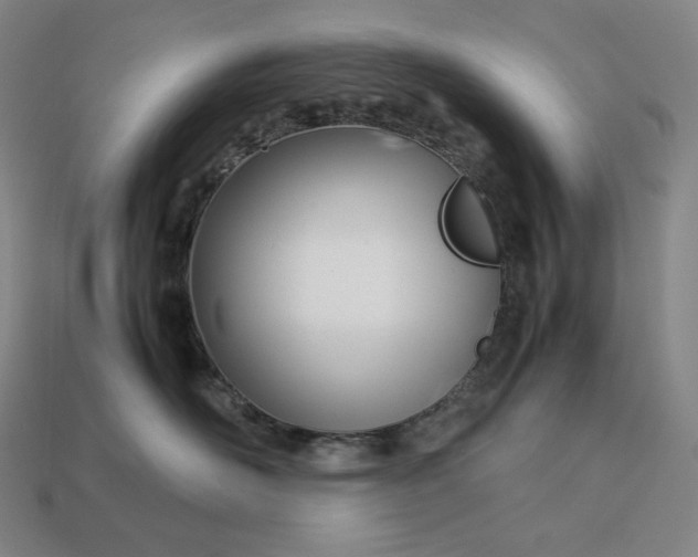 X0000113150526200909181753