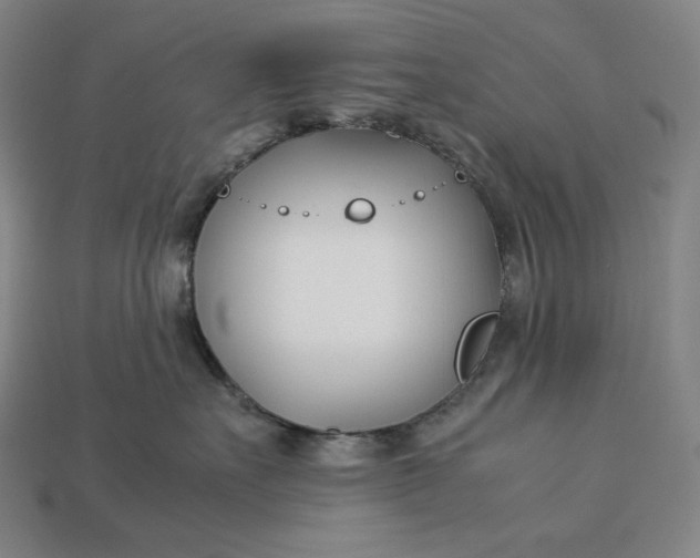 X0000113150527200909181753