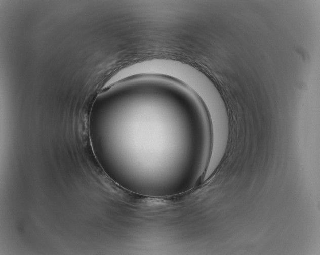 X0000113150528200909181753