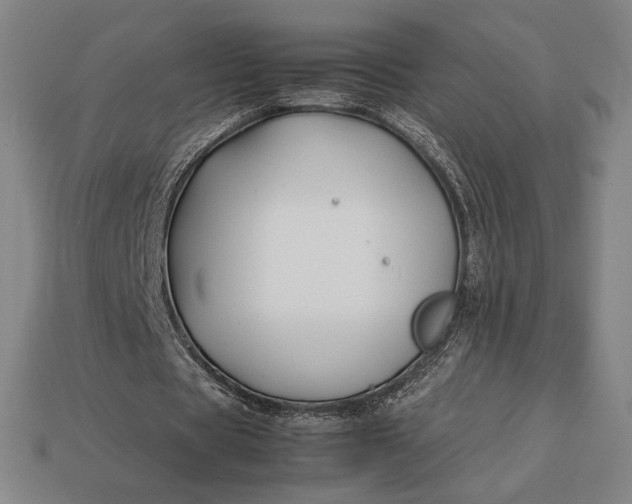 X0000113150529200909181752