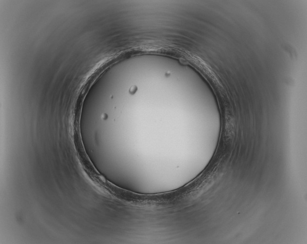 X0000113150530200909181752