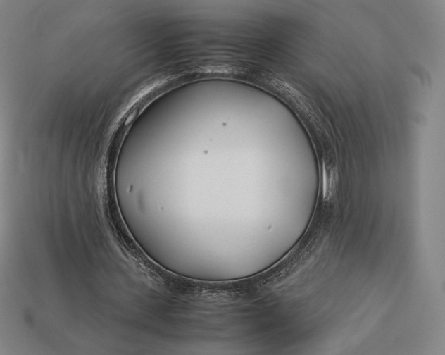 X0000113150531200909181752