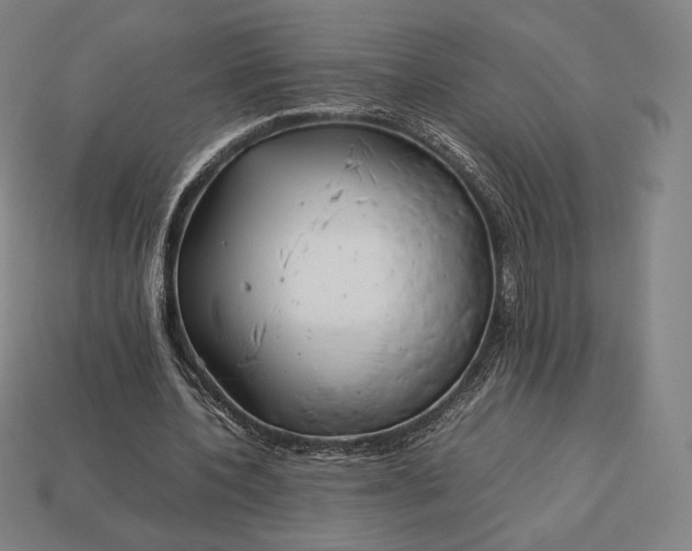 X0000113150532200909181752