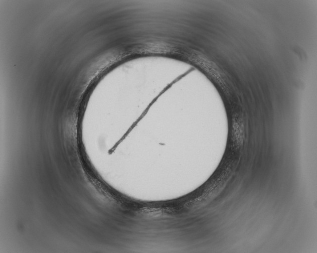 X0000113150534200909181752