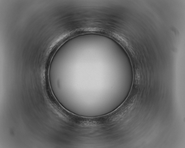 X0000113150535200909181752