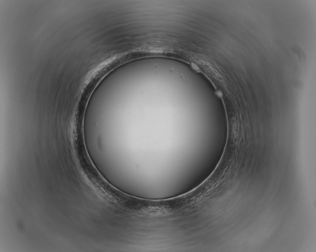 X0000113150536200909181752