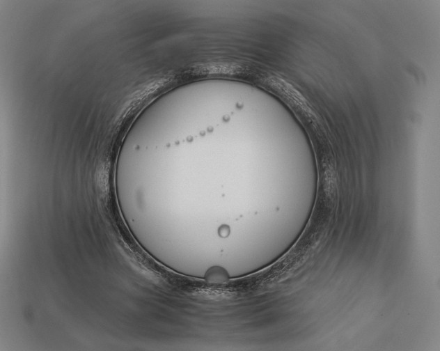 X0000113150537200909181752