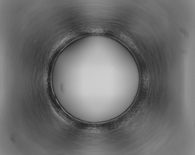 X0000113150538200909181752