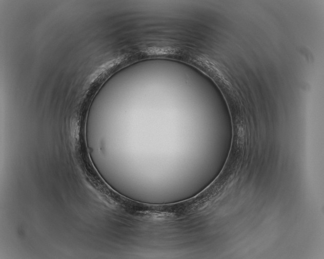 X0000113150539200909181752