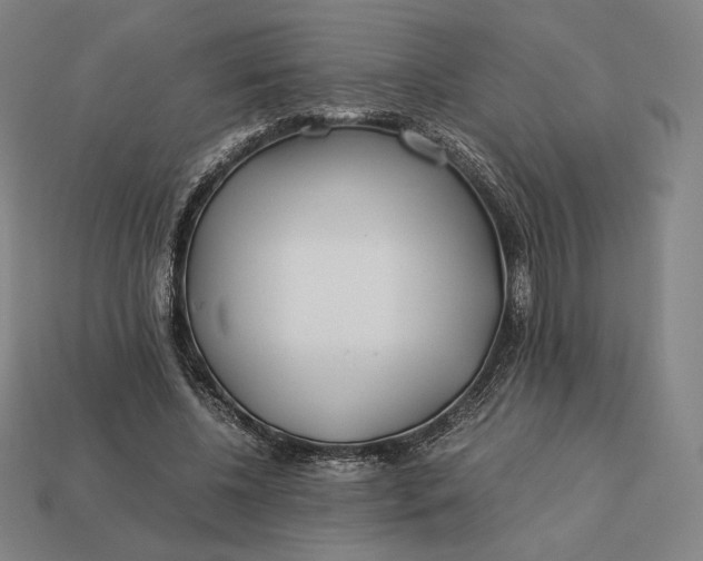 X0000113150540200909181752